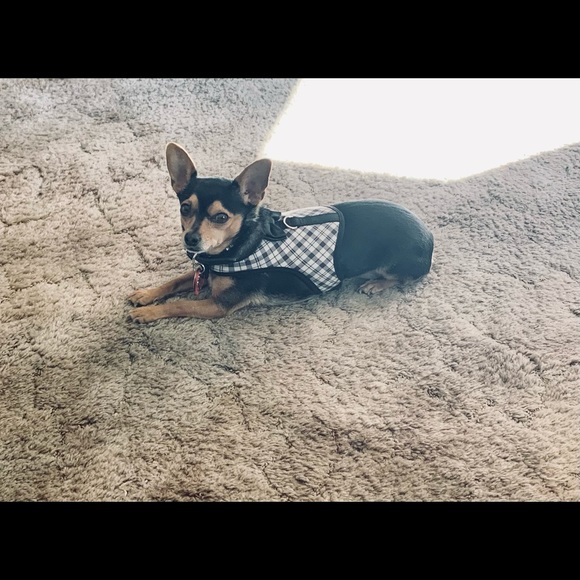 Posh Ambassador 🛍Buyer, Seller, & Stylist - Picture 9 of 12